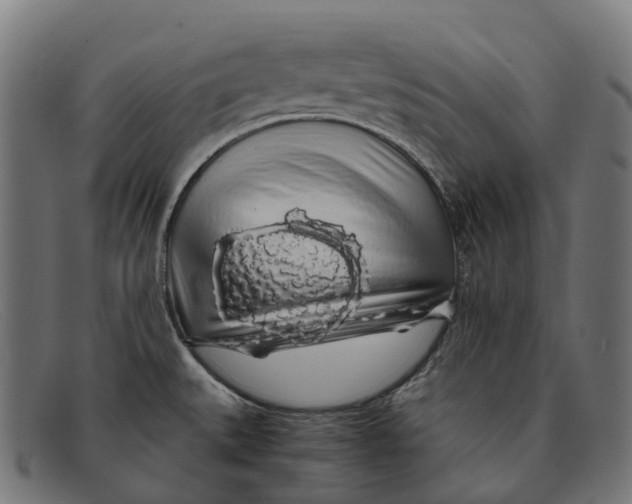 X0000091491527200709131821