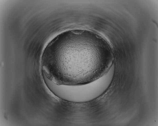 X0000091491528200709131821