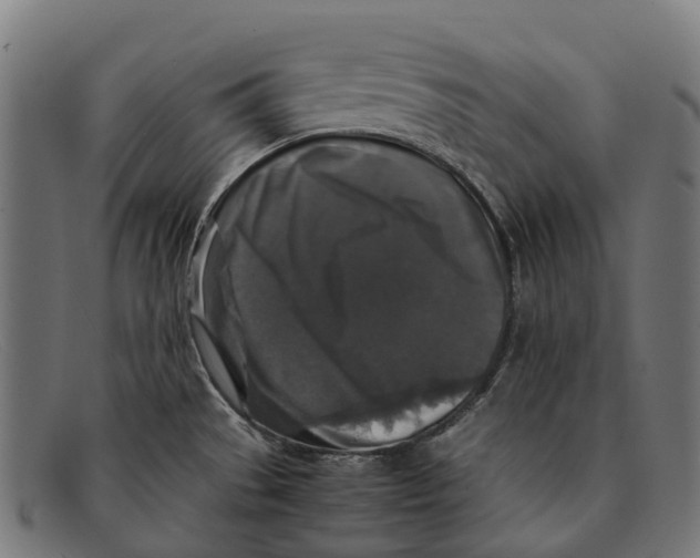 X0000091491529200709131821