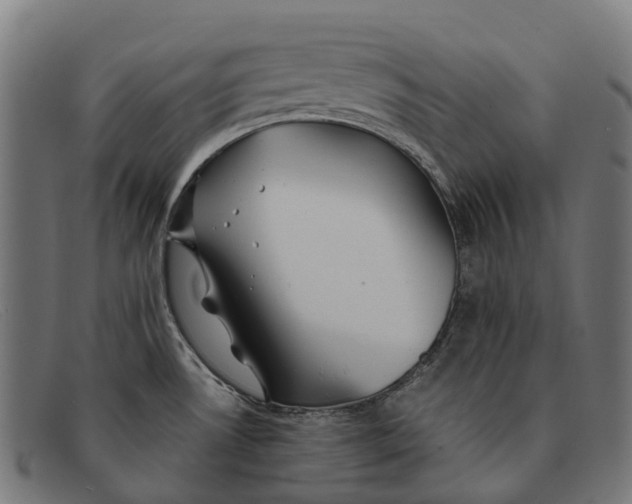 X0000091491530200709131821