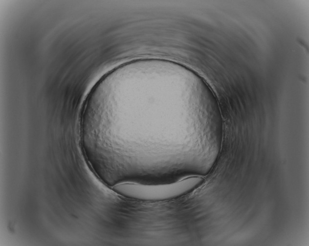 X0000091491531200709131821