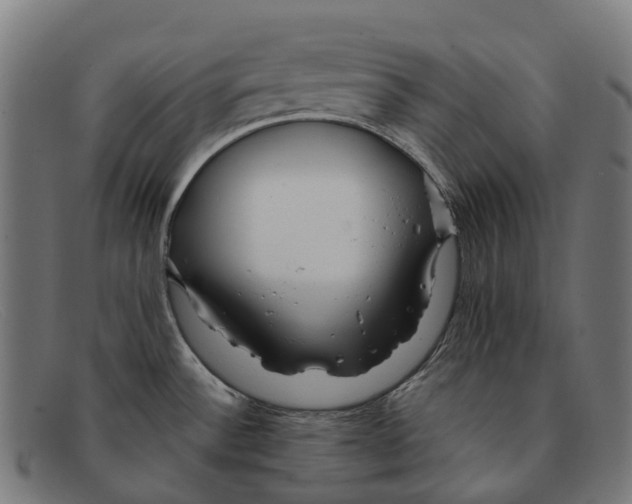 X0000091491532200709131821