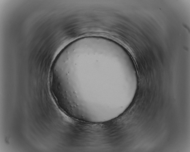 X0000091491533200709131821