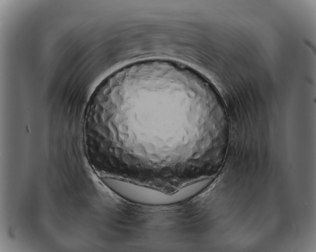 X0000091491534200709131821