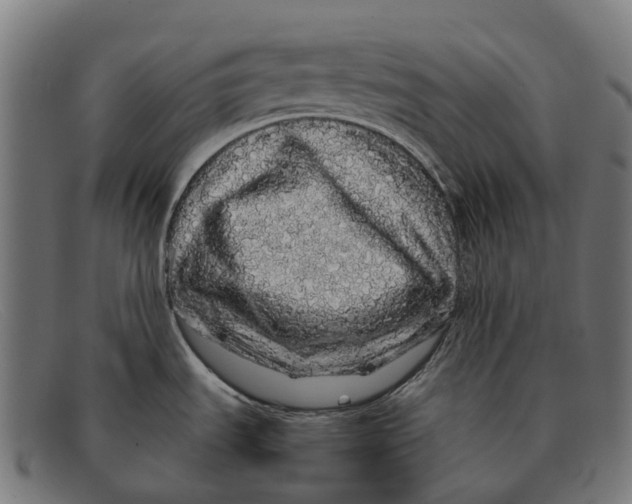 X0000091491535200709131821