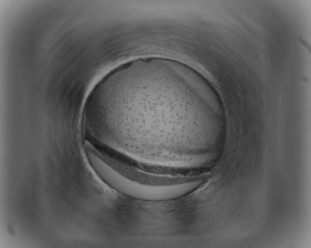 X0000091491536200709131821