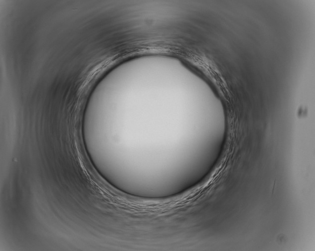 X0000091500001200708161243