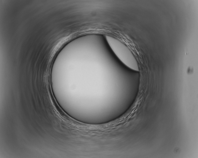 X0000091500003200708161243