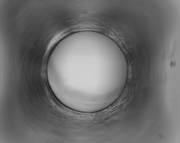 X0000091500004200708161243