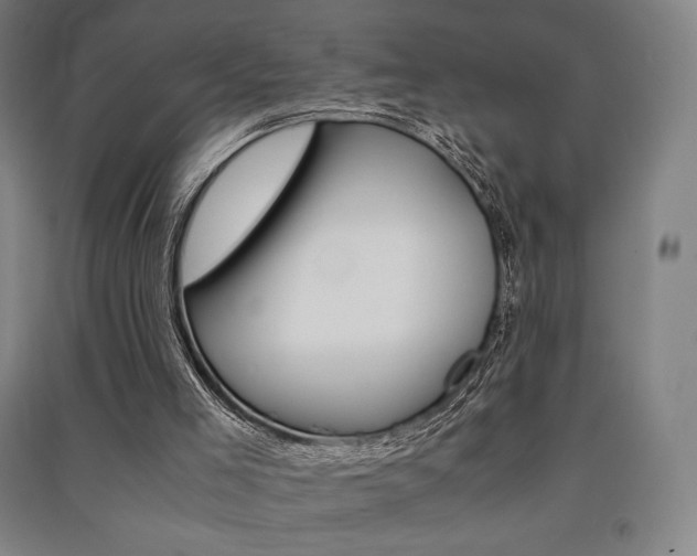 X0000091500005200708161243