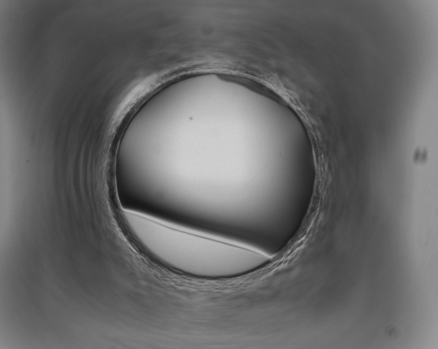 X0000091500007200708161243
