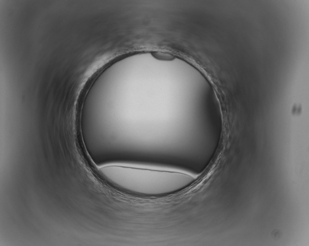 X0000091500008200708161243