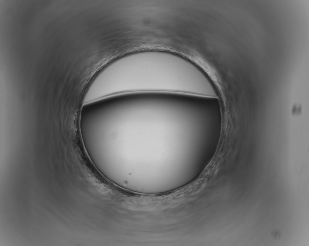 X0000091500009200708161243