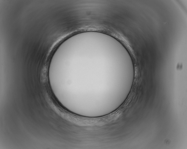 X0000091500012200708161243