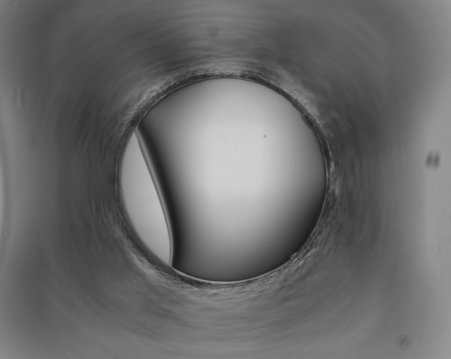 X0000091500013200708161243