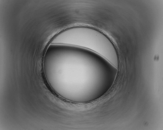 X0000091500015200708161243