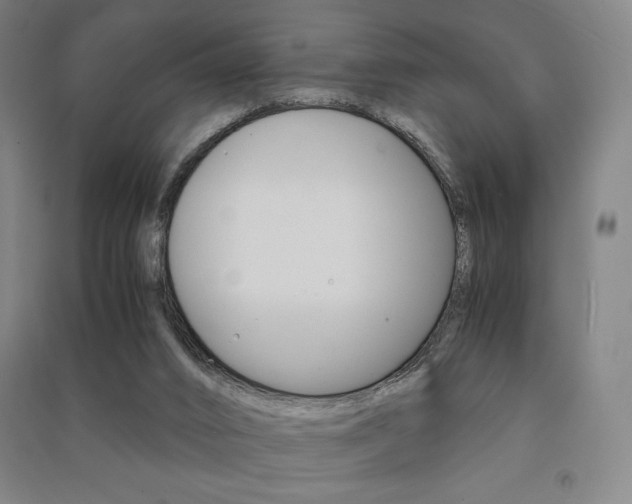 X0000091500016200708161243