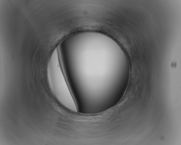 X0000091500017200708161243