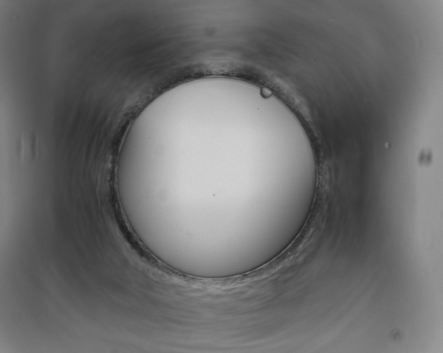 X0000091500018200708161243