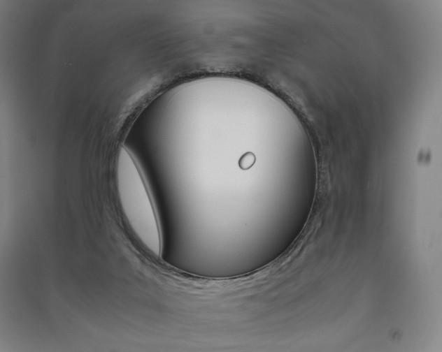 X0000091500019200708161243
