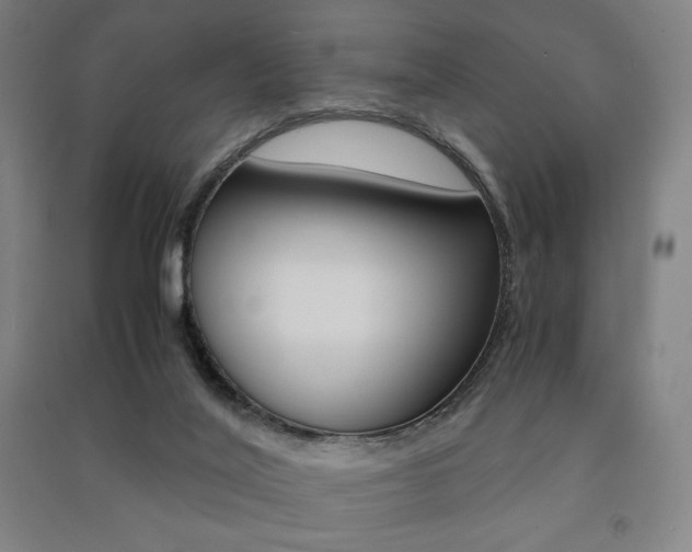 X0000091500020200708161243