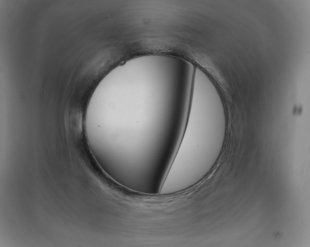 X0000091500021200708161243