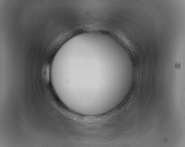X0000091500022200708161243
