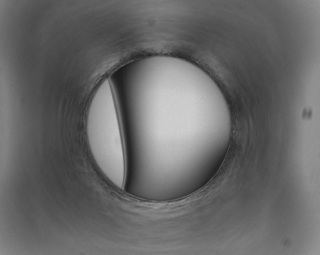 X0000091500023200708161243