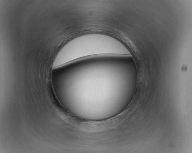 X0000091500025200708161243