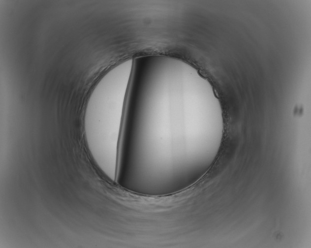 X0000091500027200708161243