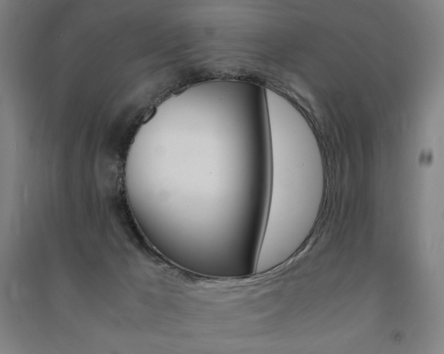 X0000091500029200708161243