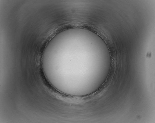 X0000091500032200708161243