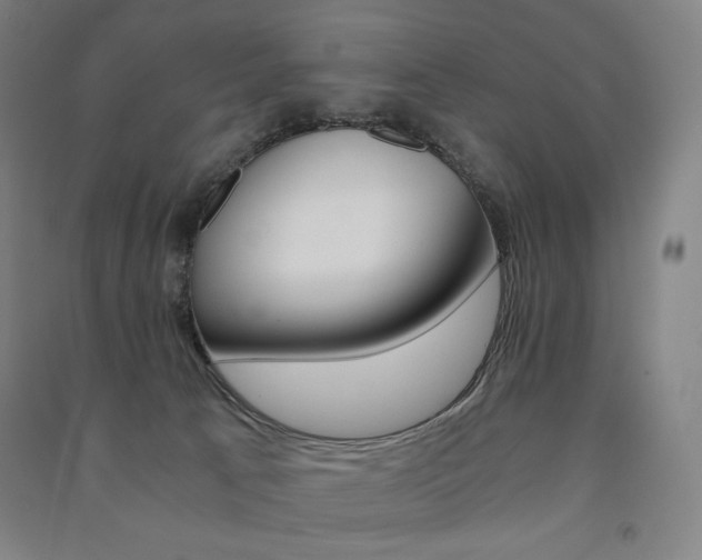 X0000091500033200708161243