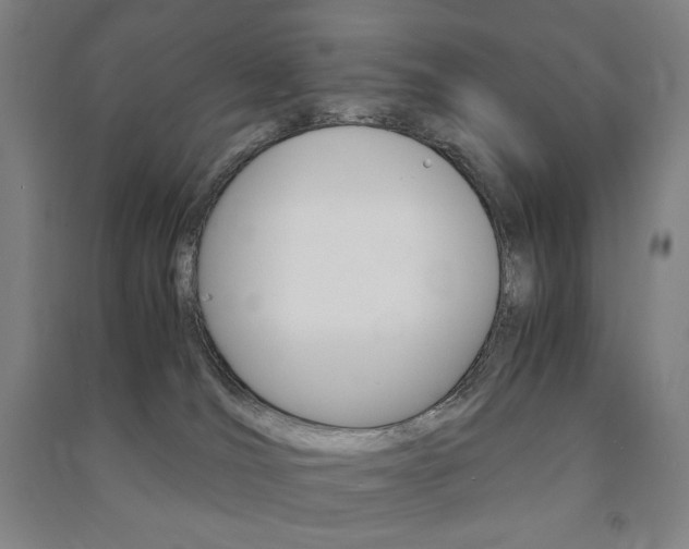 X0000091500036200708161243