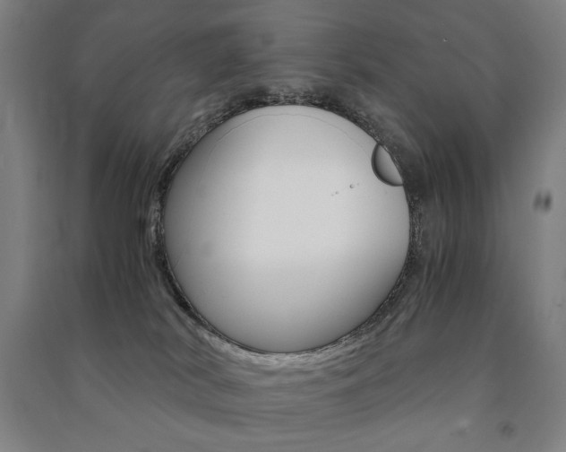 X0000091500038200708161243