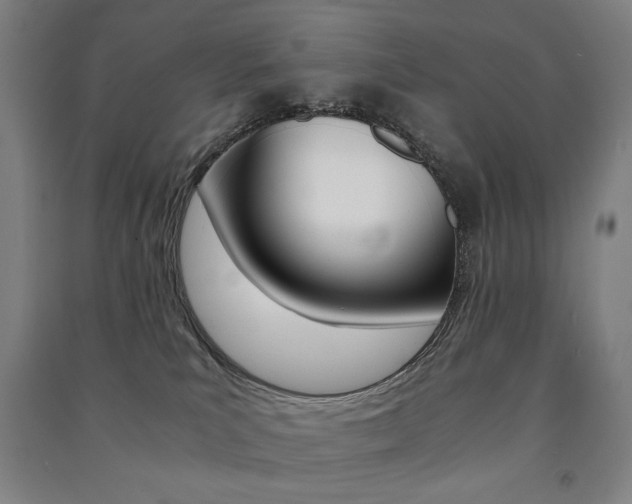 X0000091500039200708161243