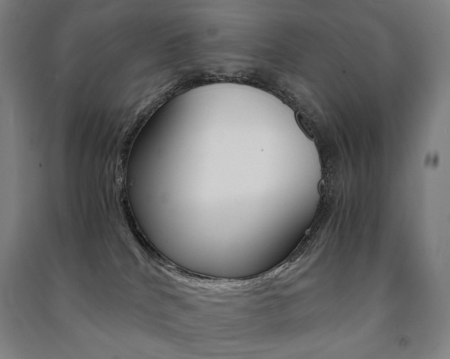 X0000091500040200708161243