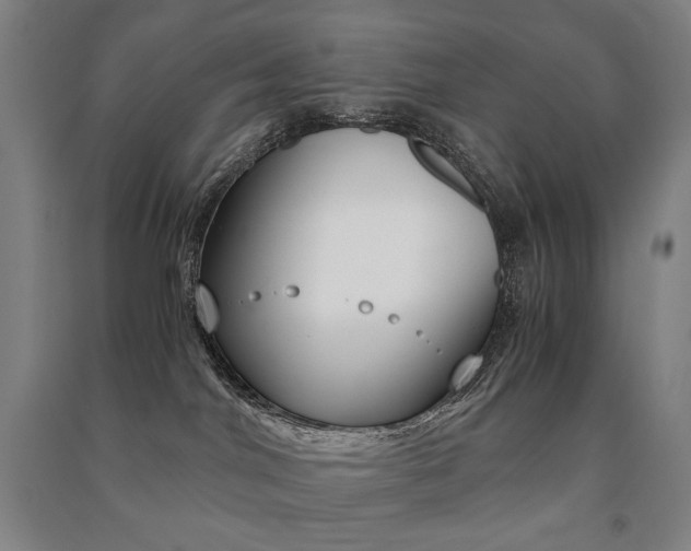 X0000091500044200708161243