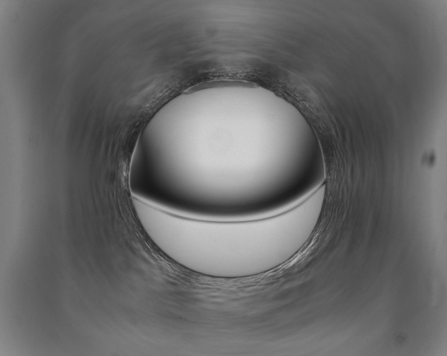 X0000091500045200708161243