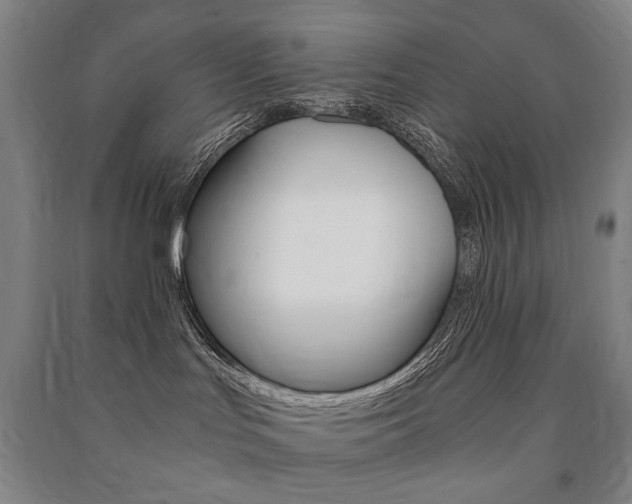 X0000091500047200708161243