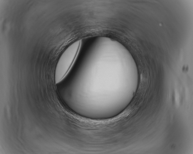 X0000091500048200708161243