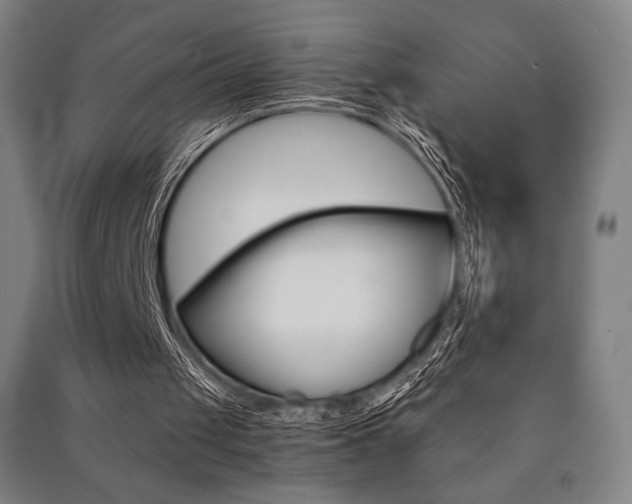 X0000091500049200708161242