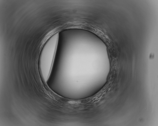 X0000091500051200708161242