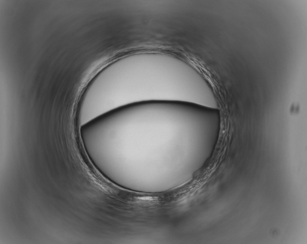 X0000091500053200708161242