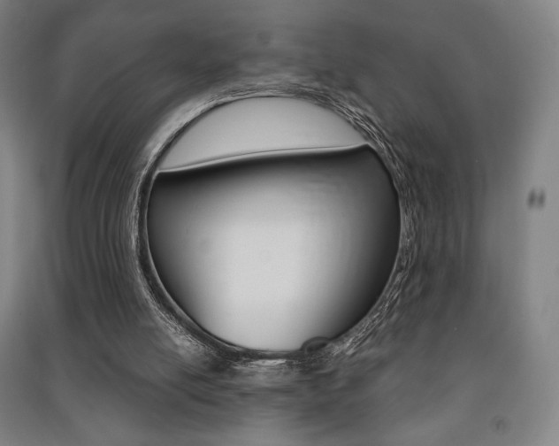 X0000091500054200708161242