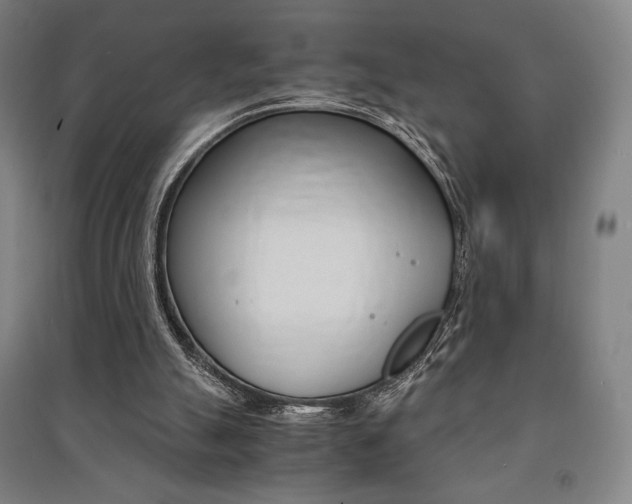X0000091500055200708161242