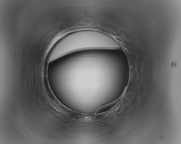 X0000091500056200708161242