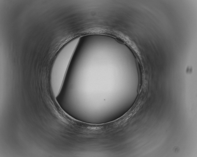 X0000091500057200708161242