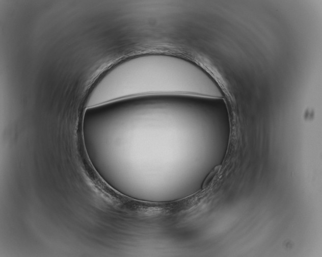 X0000091500058200708161242