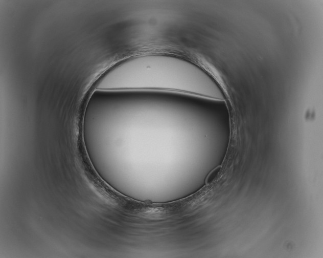 X0000091500059200708161242
